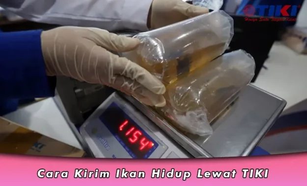 Cara Kirim Ikan Hidup Lewat TIKI