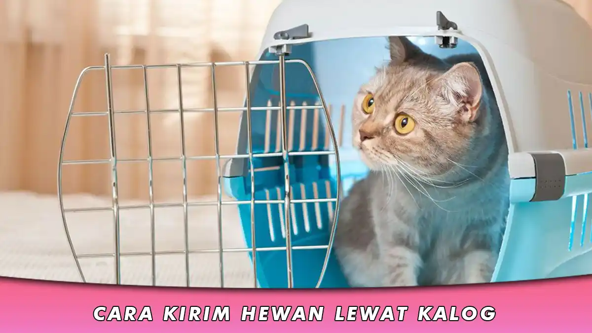 Cara Kirim Hewan Lewat Kalog