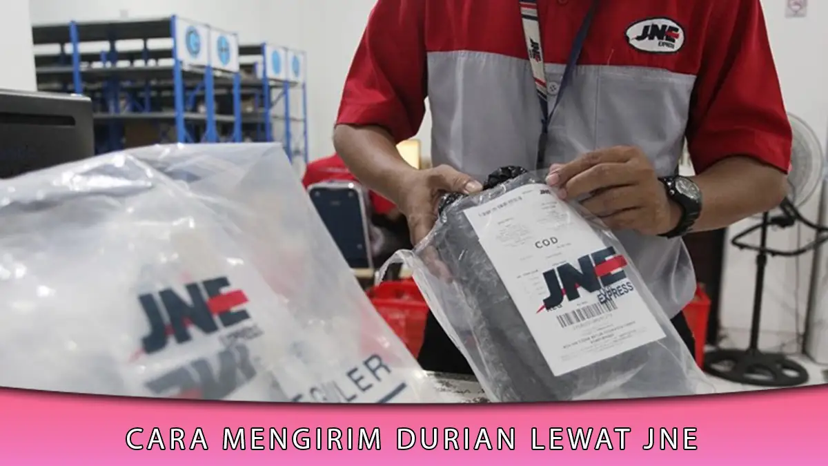 Cara Mengirim Durian Lewat JNE